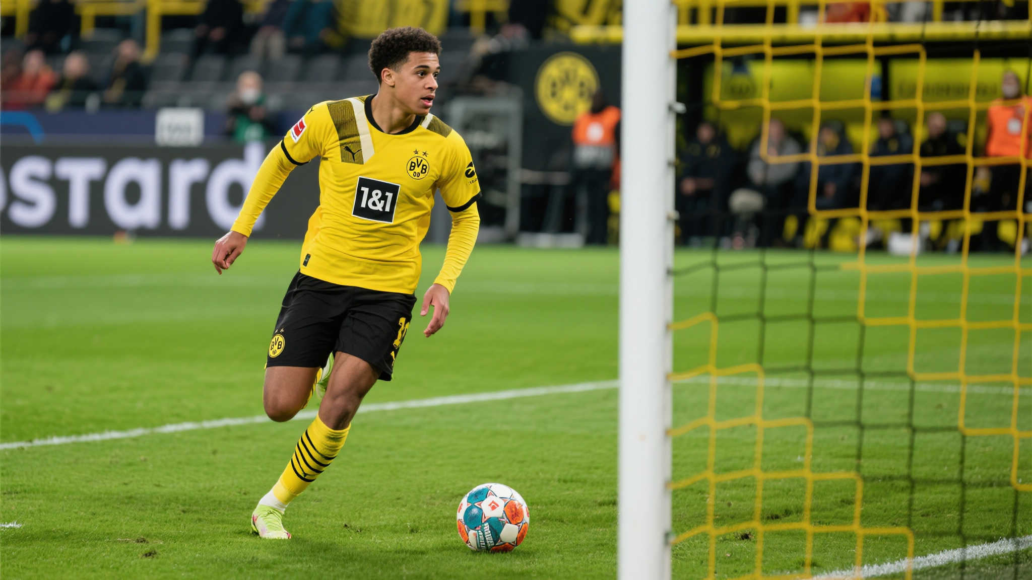 乐鱼 VIP 注册介绍